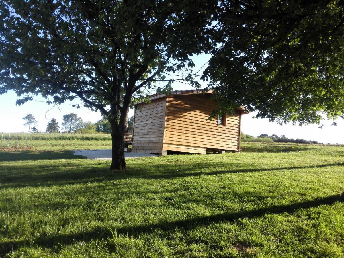 Le Chalet Douillet Saint-Genies Exterior foto